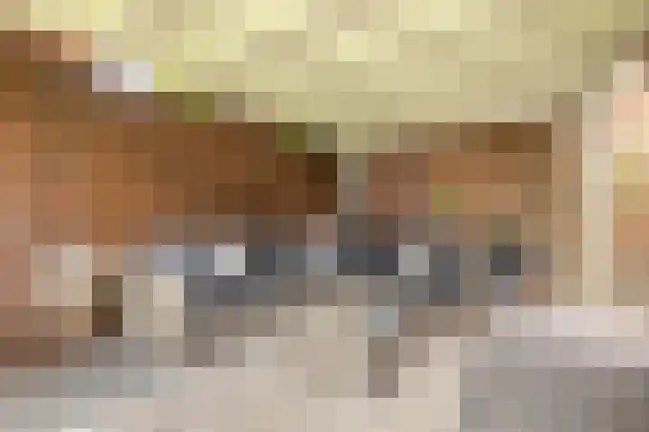 Snelliuslaan 49 Hilversum thumbnail 47
