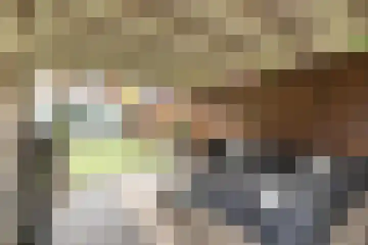 Snelliuslaan 49 Hilversum thumbnail 48