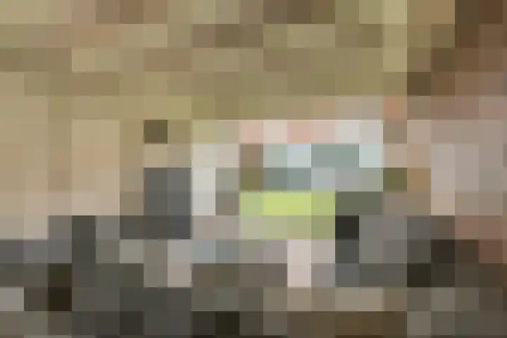 Snelliuslaan 49 Hilversum thumbnail 49