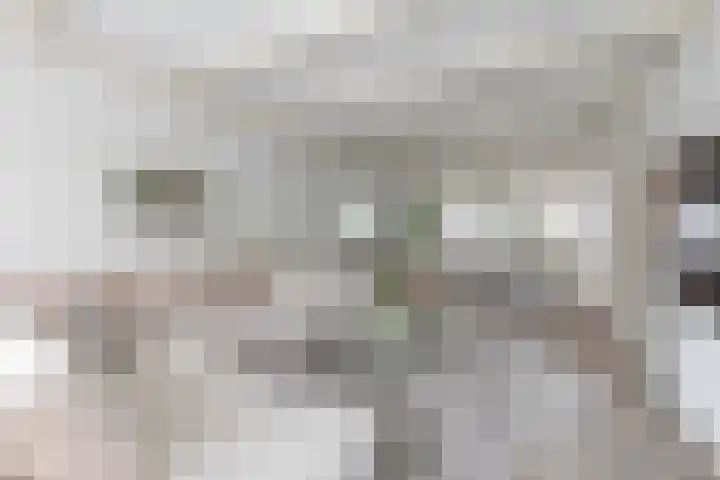 Snelliuslaan 49 Hilversum thumbnail 6
