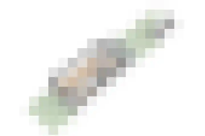 Snelliuslaan 49 Hilversum thumbnail 61