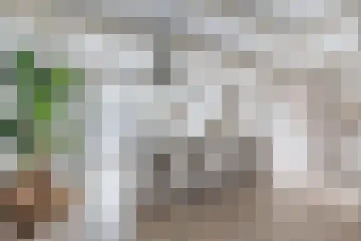 Snelliuslaan 49 Hilversum thumbnail 7