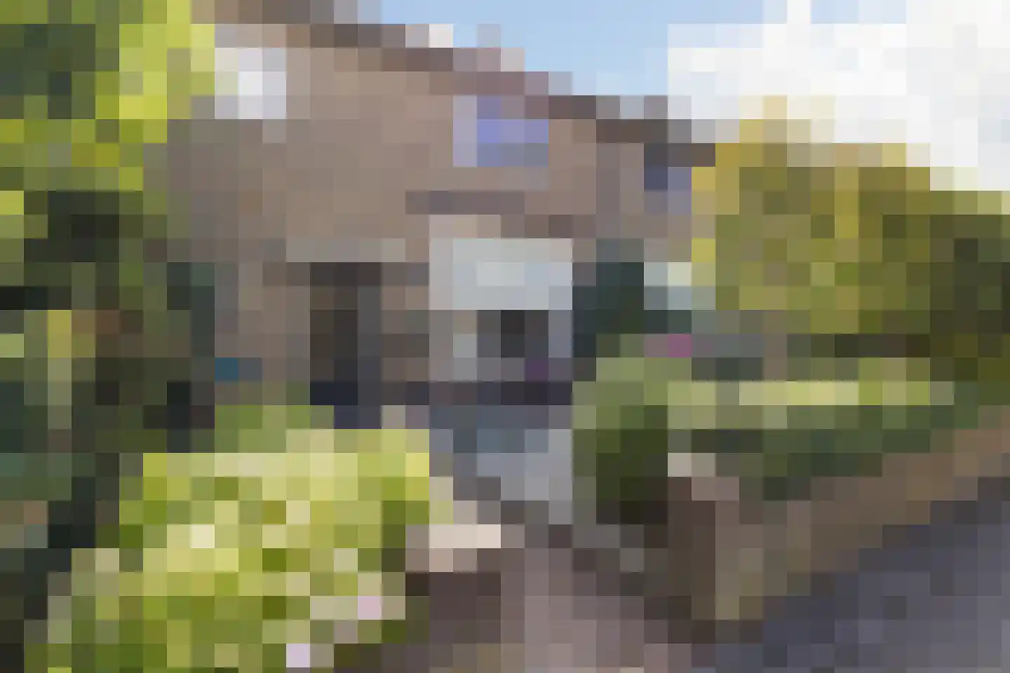 Snelliuslaan 64 in Hilversum