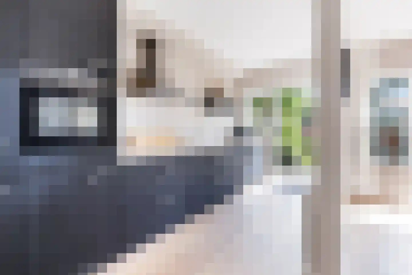 Snelliuslaan 64 Hilversum thumbnail 12