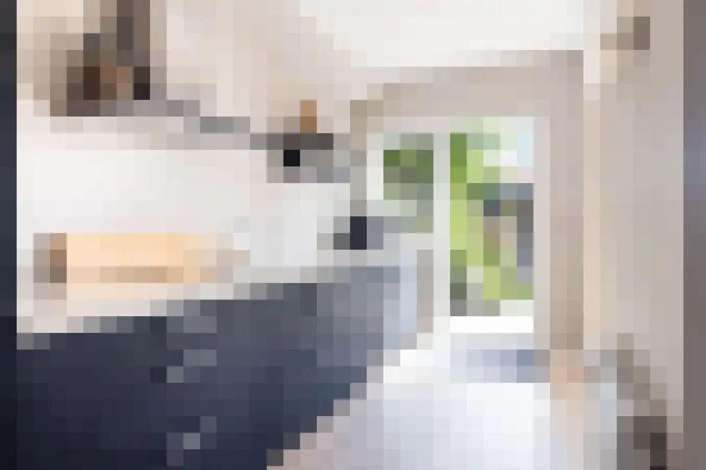 Snelliuslaan 64 Hilversum thumbnail 14