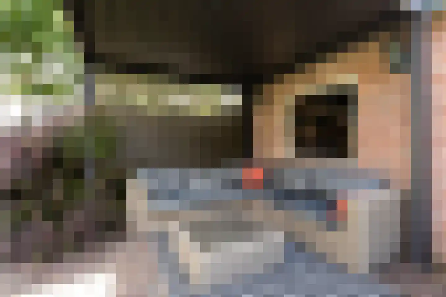 Snelliuslaan 64 Hilversum thumbnail 17