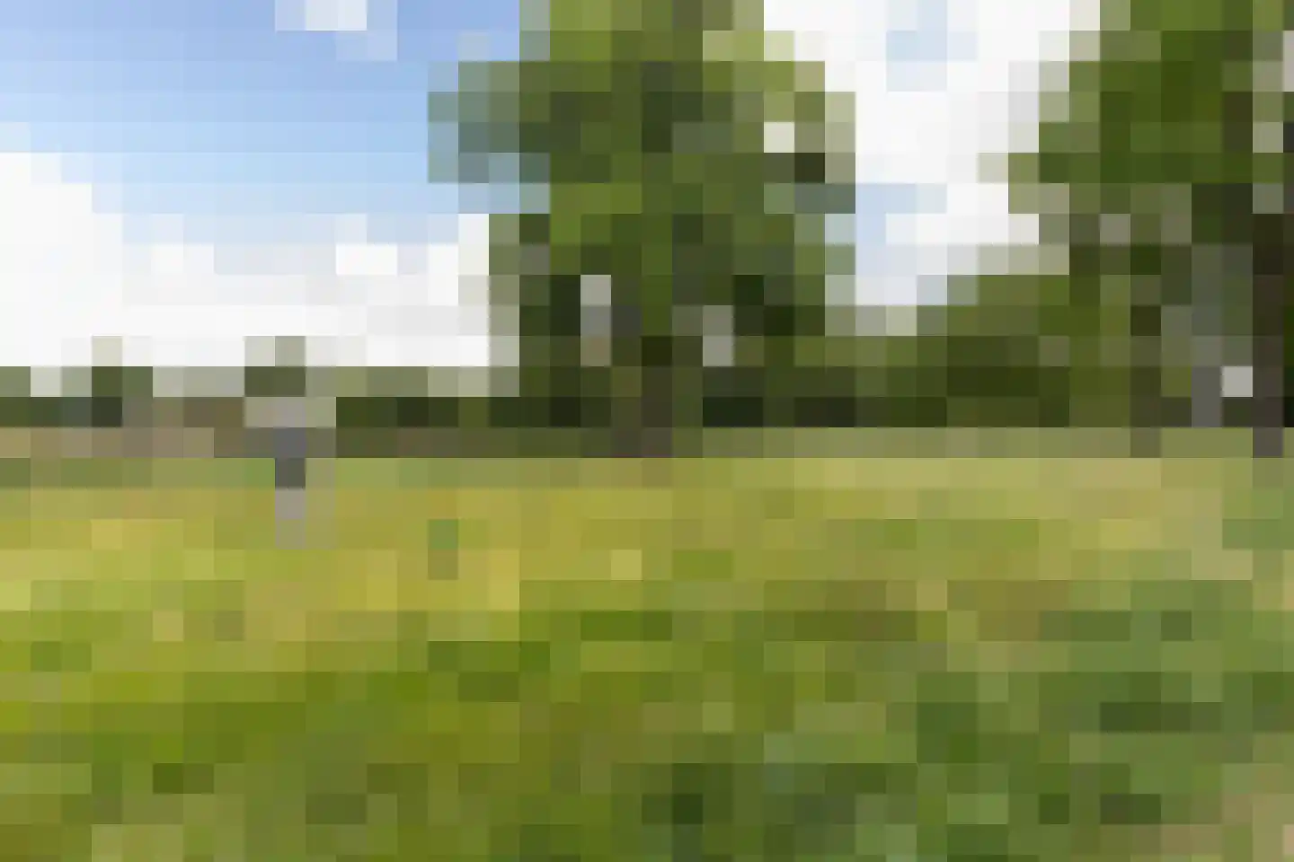 Snelliuslaan 64 Hilversum thumbnail 31