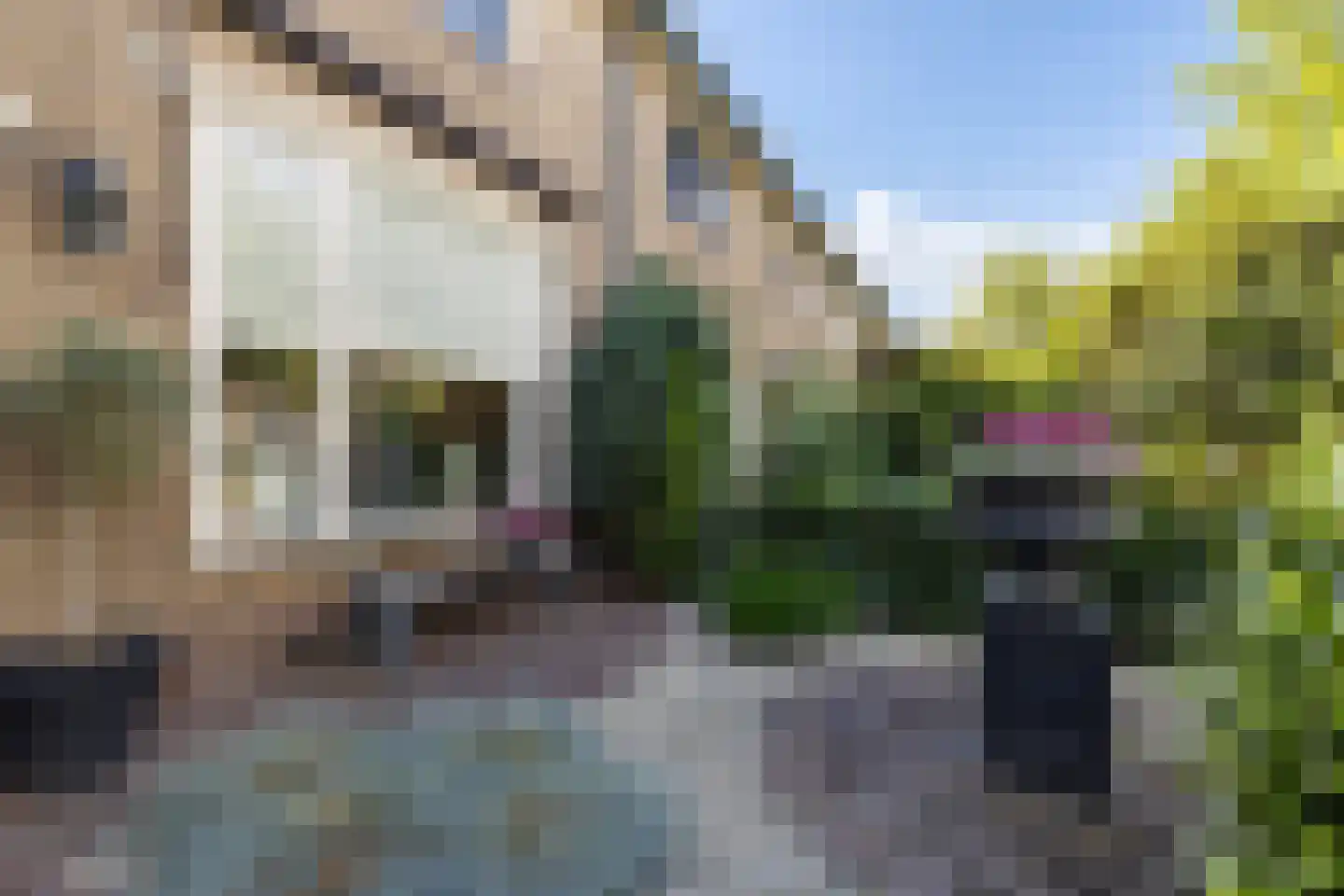 Snelliuslaan 64 Hilversum thumbnail 4