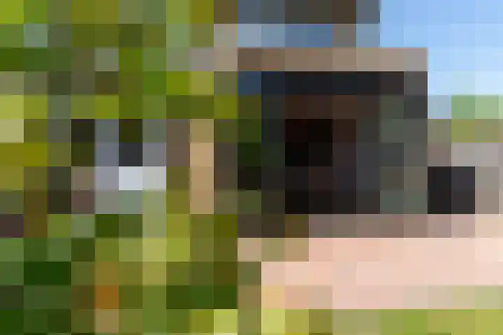 Snelliuslaan 78 Hilversum thumbnail 11