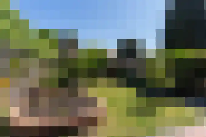 Snelliuslaan 78 Hilversum thumbnail 15
