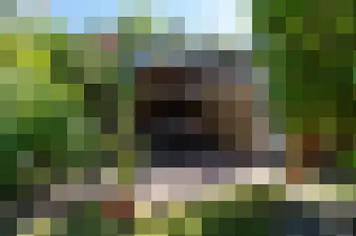 Snelliuslaan 78 Hilversum thumbnail 17