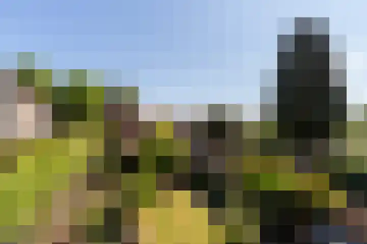 Snelliuslaan 78 Hilversum thumbnail 25