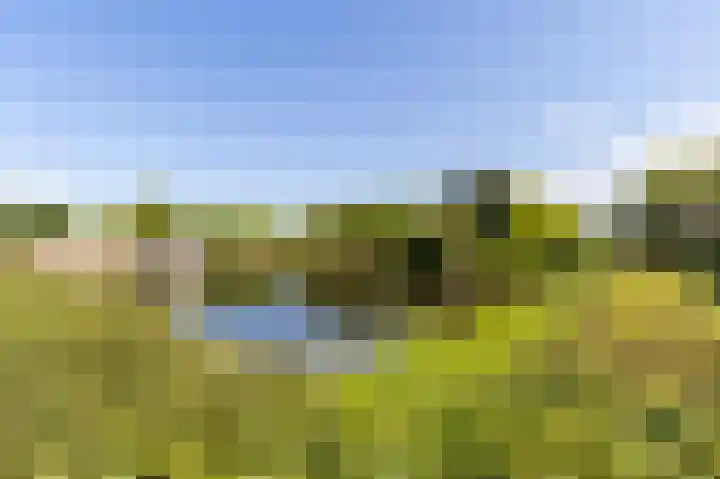 Snelliuslaan 78 Hilversum thumbnail 29