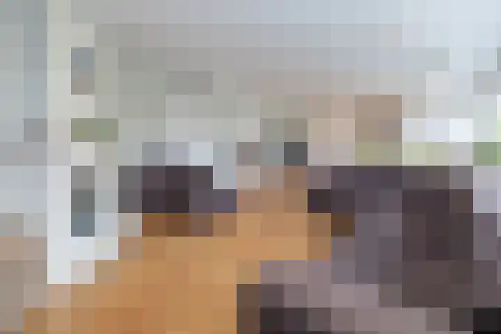 Snelliuslaan 8 Hilversum thumbnail 11