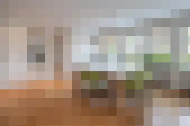 Snelliuslaan 8 Hilversum thumbnail 14