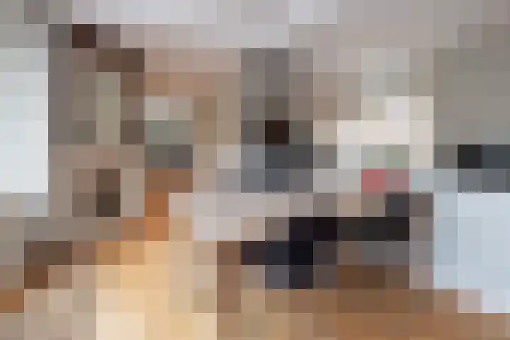 Snelliuslaan 8 Hilversum thumbnail 16