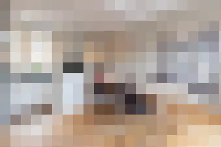 Snelliuslaan 8 Hilversum thumbnail 17
