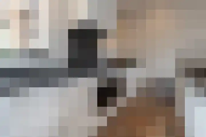 Snelliuslaan 8 Hilversum thumbnail 18