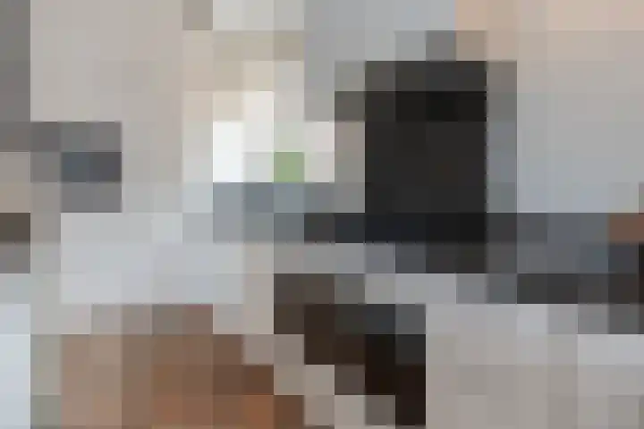 Snelliuslaan 8 Hilversum thumbnail 21