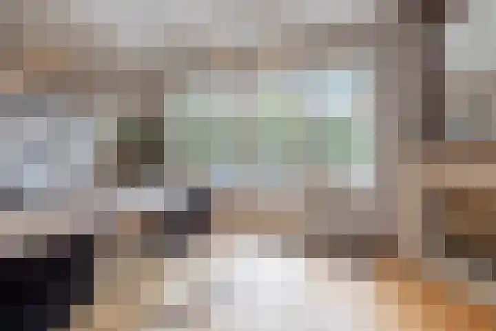 Snelliuslaan 8 Hilversum thumbnail 22