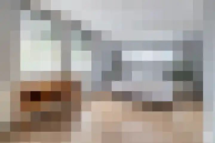 Snelliuslaan 8 Hilversum thumbnail 31