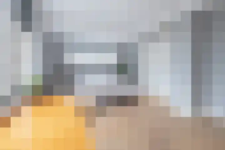 Snelliuslaan 8 Hilversum thumbnail 33