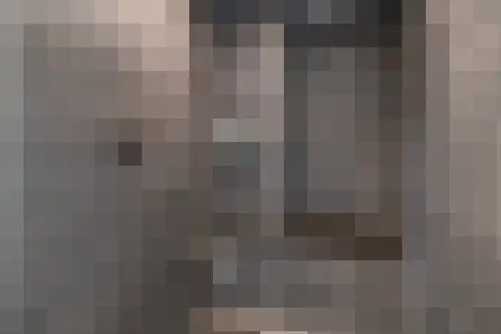 Snelliuslaan 8 Hilversum thumbnail 38