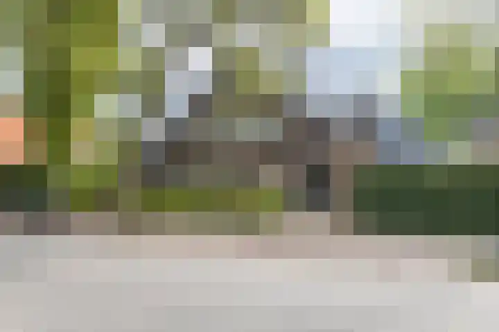 Snelliuslaan 8 Hilversum thumbnail 4
