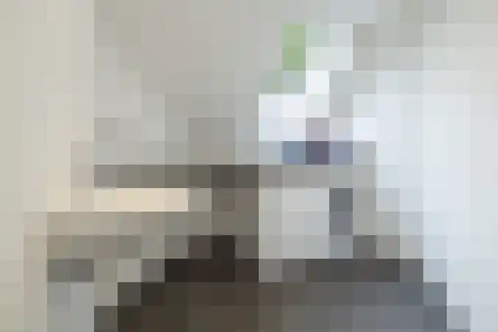 Snelliuslaan 8 Hilversum thumbnail 40