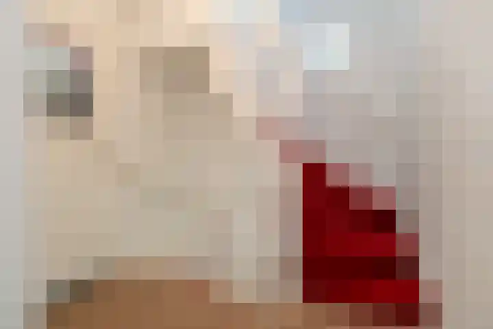 Snelliuslaan 8 Hilversum thumbnail 41