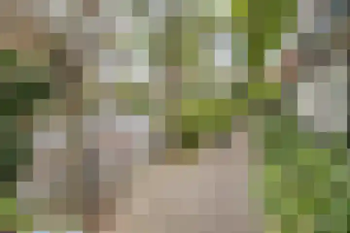 Snelliuslaan 8 Hilversum thumbnail 5