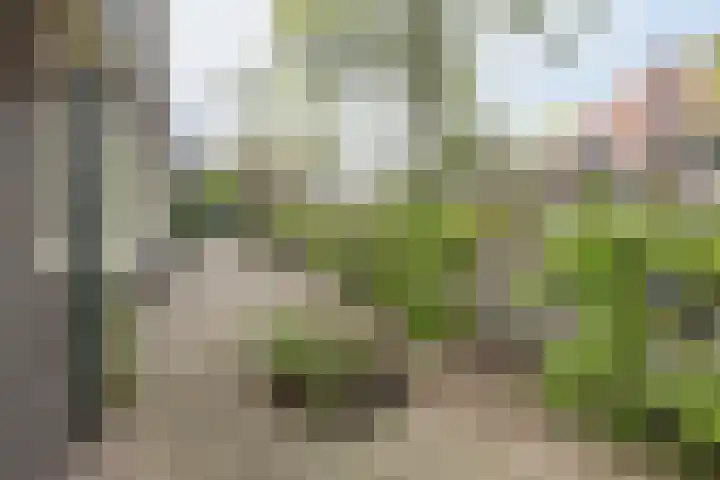 Snelliuslaan 8 Hilversum thumbnail 52