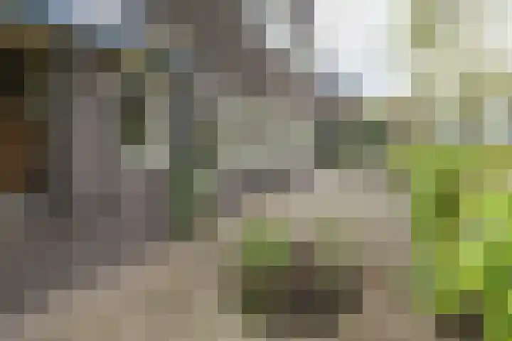 Snelliuslaan 8 Hilversum thumbnail 53