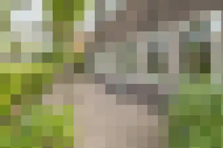 Snelliuslaan 8 Hilversum thumbnail 54