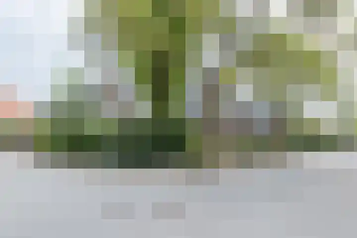 Snelliuslaan 8 Hilversum thumbnail 55