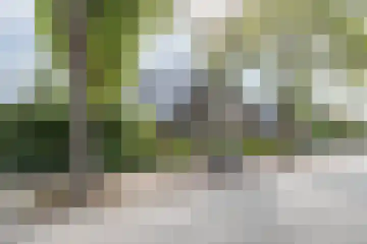 Snelliuslaan 8 Hilversum thumbnail 56