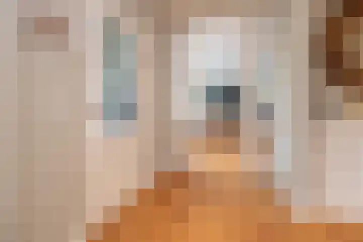 Snelliuslaan 8 Hilversum thumbnail 6