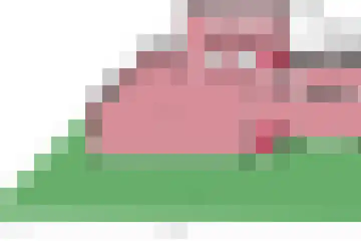 Snelliuslaan 8 Hilversum thumbnail 63
