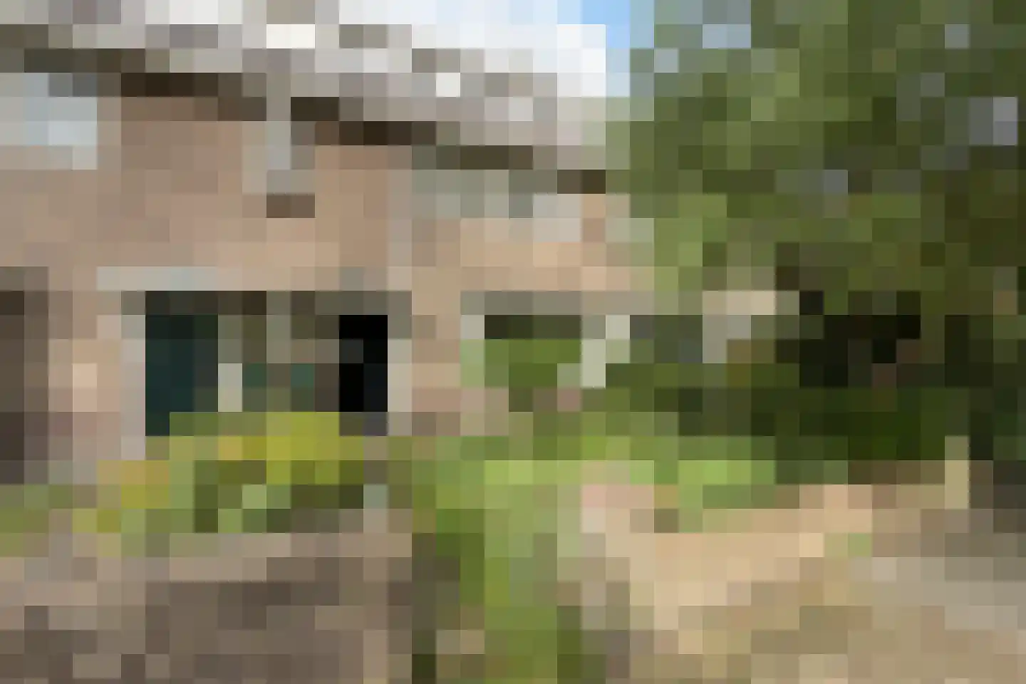 Snelliuslaan 9 in Hilversum