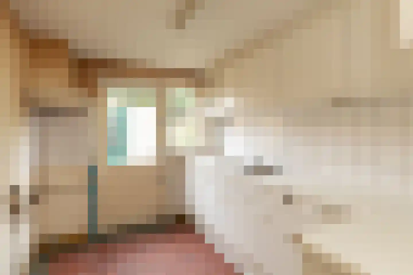 Snelliuslaan 9 Hilversum thumbnail 13