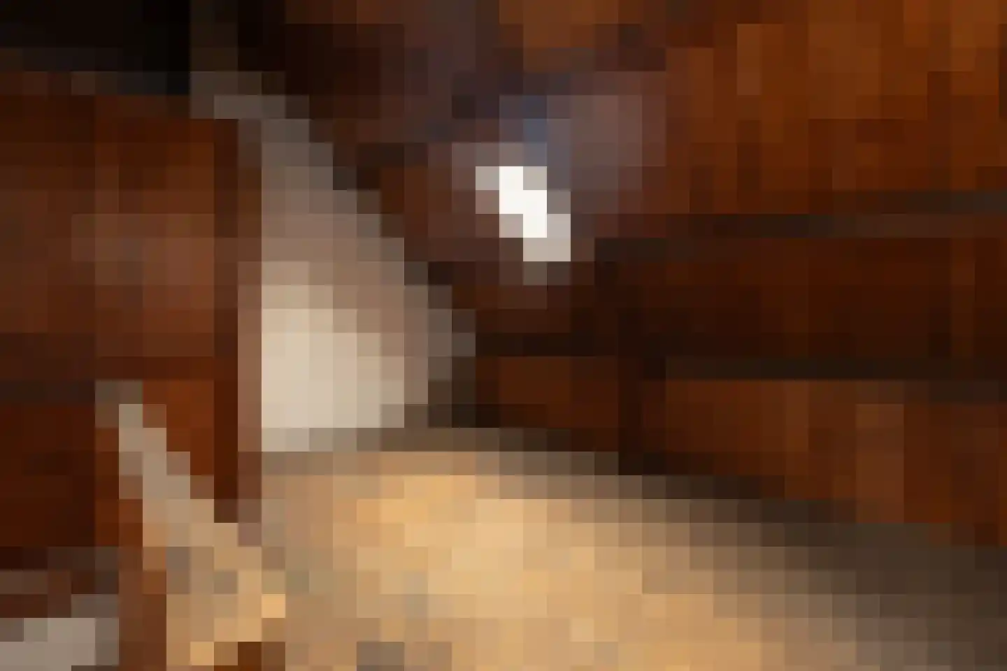 Snelliuslaan 9 Hilversum thumbnail 25