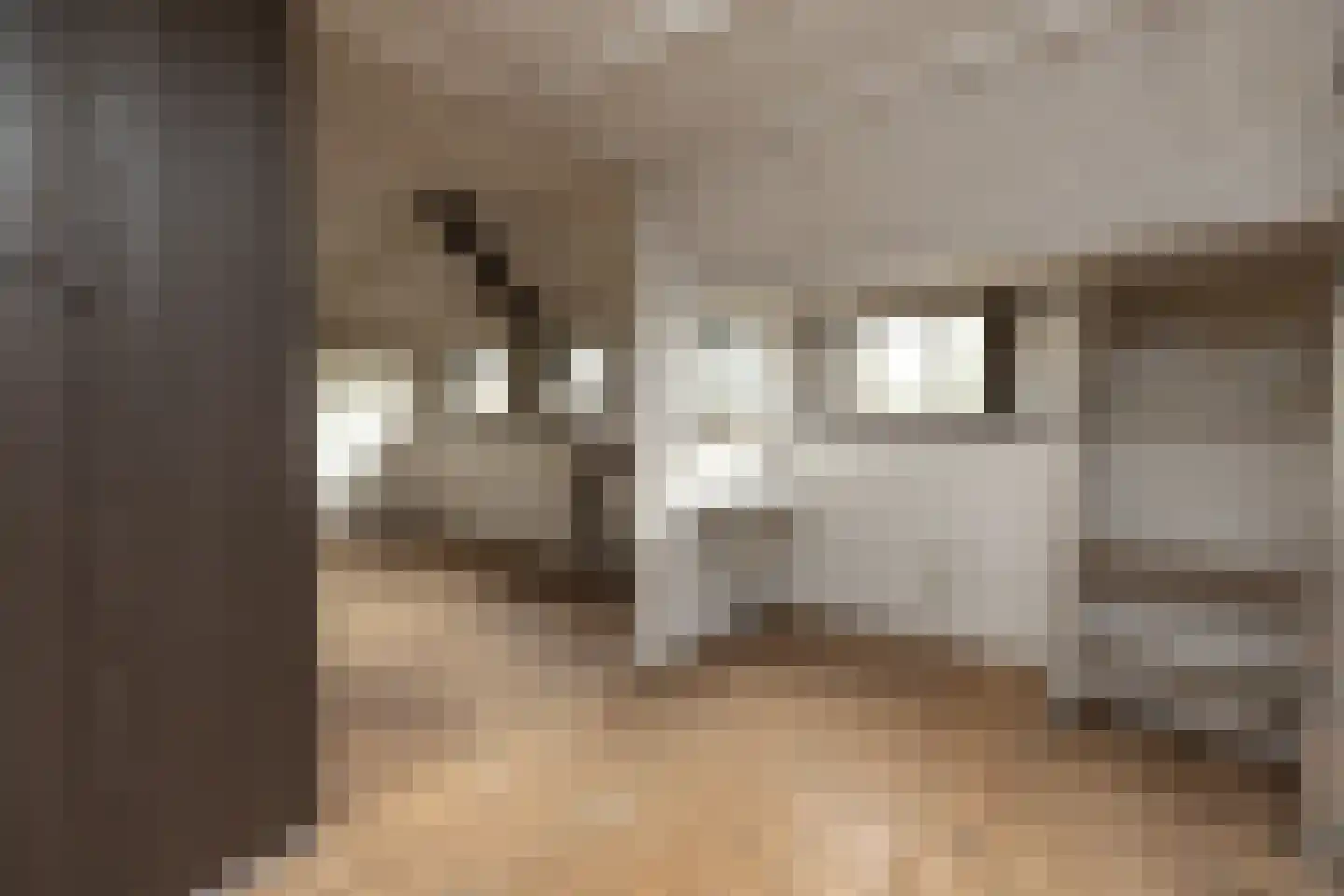 Snelliuslaan 9 Hilversum thumbnail 29