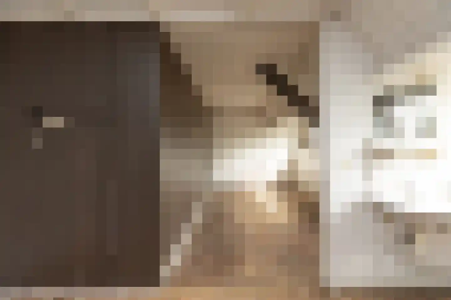 Snelliuslaan 9 Hilversum thumbnail 30