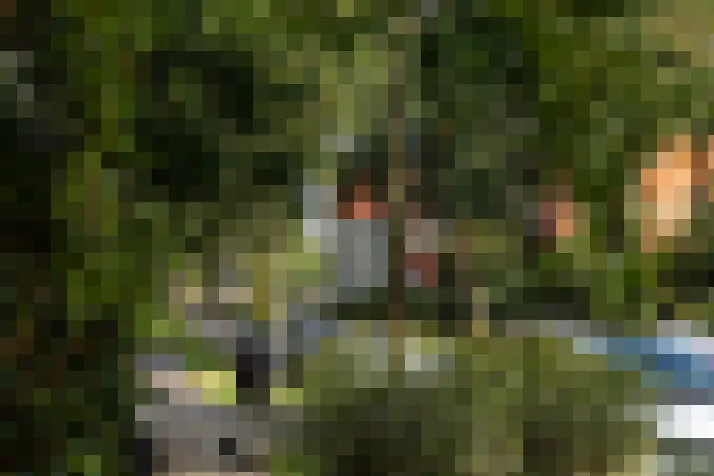 Snelliuslaan 9 Hilversum thumbnail 34