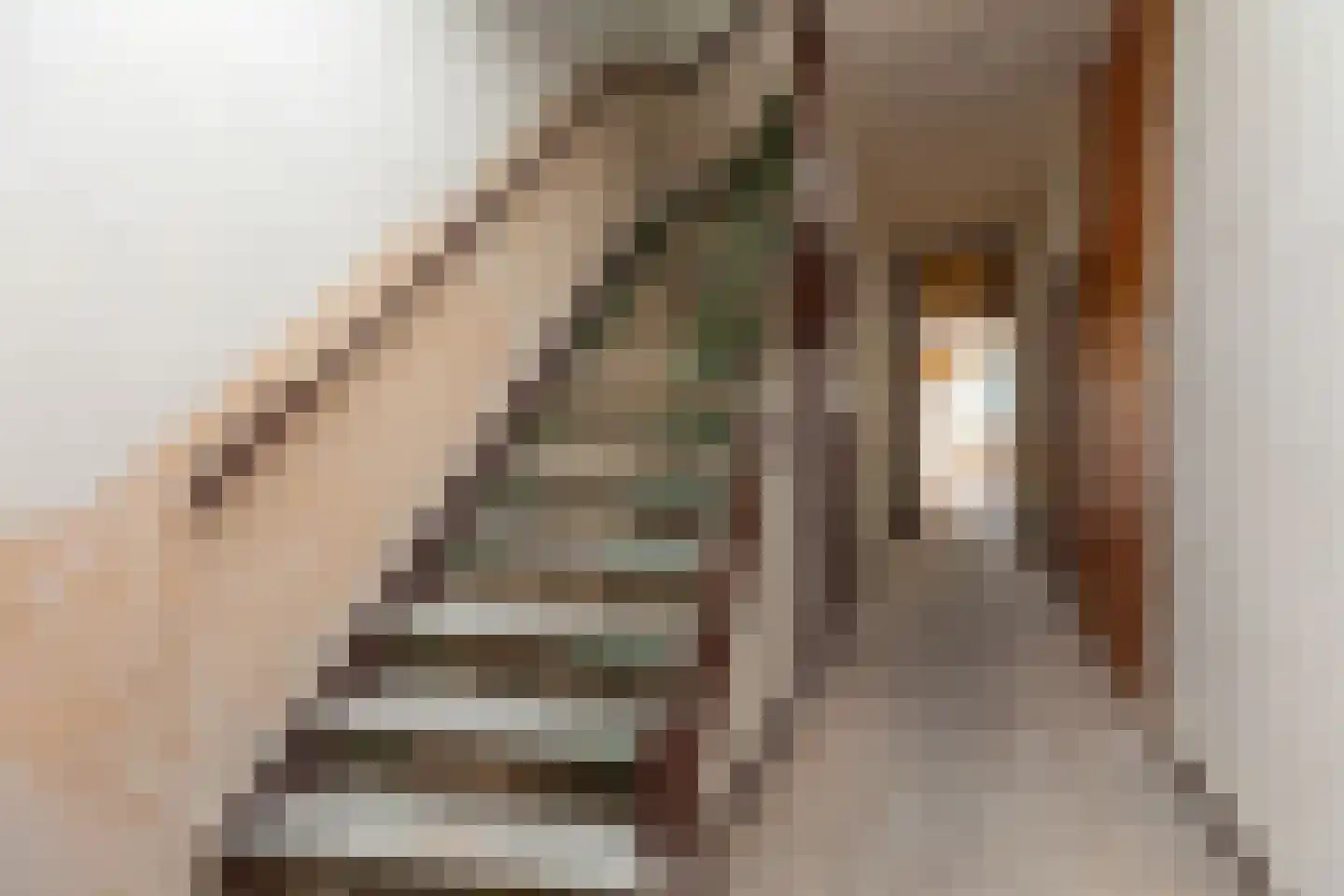 Snelliuslaan 9 Hilversum thumbnail 7