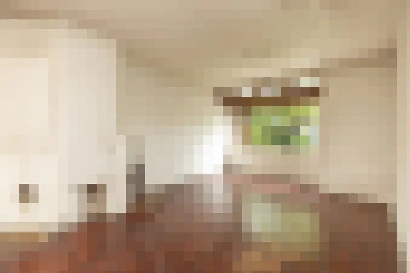 Snelliuslaan 9 Hilversum thumbnail 9