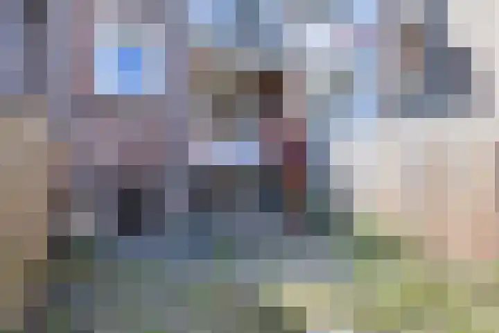 Snelliussingel 12 A Schiedam thumbnail 15