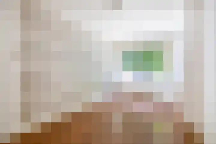 Snelliussingel 12 A Schiedam thumbnail 8