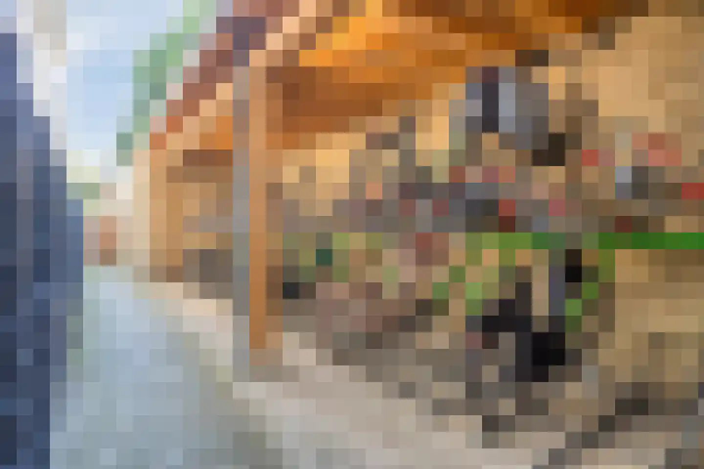Snelliussingel 168 Schiedam thumbnail 22