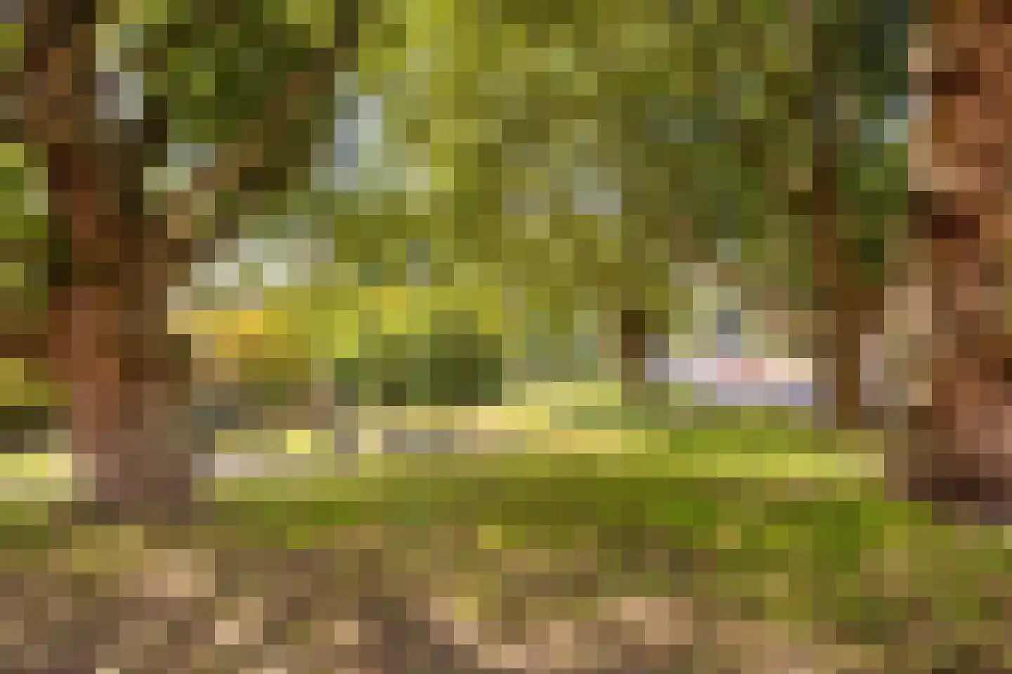 Snelliussingel 168 Schiedam thumbnail 23